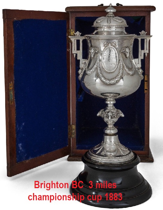 Brighton - Hove Cricket Ground : Image credit drouot.com